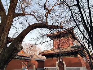 2023 02 05  PEKIN - WANSHOU TEMPLE LONGEVITE BIENVEILLANCE (10)